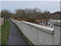 NT4629 : Path and flood protection wall, Selkirk by Jim Barton