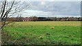 Field next to the public footpath