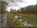 SK4545 : The Erewash Canal and towpath south of bridge #26 by Graham Hogg