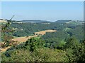 View from Croft Ambrey Hill fort