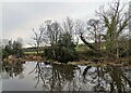 The River Derwent at Ebchester