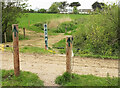 Path and track near Trebetherick