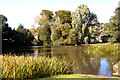 The pond at East Riddlesden Hall