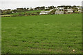 Houses, Trebetherick