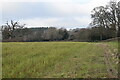 Field south of Breamore Park