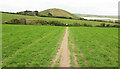 Path to St Enodoc