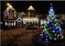 SO7847 : Christmas tree in Malvern Link by Mat Fascione