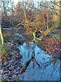 NY2721 : Stream in Great Wood, near Keswick by yorkshirelad