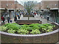 New shrubs on Colliers Walk