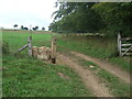 Metal & Stone Stile below The Park, Painswick GS1095