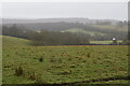 View north from Churchsettle Lane