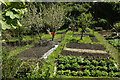 Allotments, Boscastle