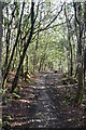 Greensand Way, Crockhamhill Common