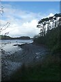 Bank of Camel Estuary west of Tregunna House