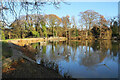 Lake in Ringwood Park