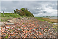 NU1038 : Bricks on the shoreline by Ian Capper