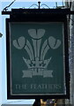 Sign for the Feathers Hotel, Pocklington