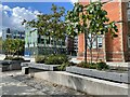 New plants for Leavygreave Road