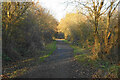 Trans Pennine Trail passing Inkersall Green