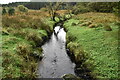 H0355 : Sillees River by N Chadwick