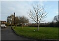 Public open space behind Pear Tree Road