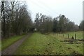 Bridleway near Hell Wath Cottage