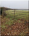 Six-bar field gate in rural Monmouthshire