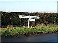 Fingerpost, Meltonby