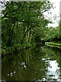 Staffordshire and Worcestershire Canal west of Calf Heath