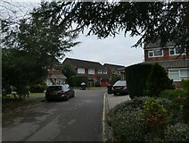 TQ0158 : Looking from Coley Avenue into Dinsdale Close by Basher Eyre