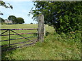 NZ1352 : Wooden railway gate post near Brooms Farm by Adrian Taylor