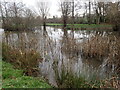 Pond at Bodiam Business Park