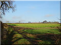 Crop field off Swineridge Lane