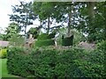 Topiary Birds at Wightwick Manor