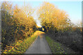 Trans Pennine Trail near Staveley