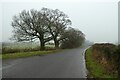 Rain on Swindon Lane