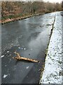 Huddersfield Broad Canal, frozen