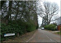 TQ0058 : Looking from Heathside Road into Bracken Close by Basher Eyre