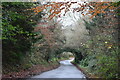 Descending Owslebury Bottom