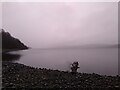 NN6557 : Loch Rannoch in fog by Aleks Scholz