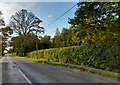 Cuddington Road near Gibraltar