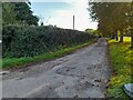 Track to Cuddington Mill Farm