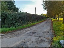 SP7311 : Track to Cuddington Mill Farm by David Howard