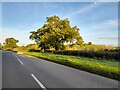 The road from Brill to Wotton Underwood