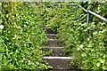 Laugharne: Steps by the Dylan Thomas Writing Shed leading to the beach