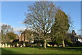 In Fordingbridge churchyard