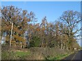 Woodland by A49, bordering the Hardwicke Grange estate