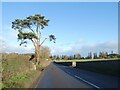 A49 south of Grinshill