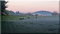 A cold day for sheep and farmers