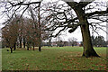 Bantock Park in Bradmore, Wolverhampton